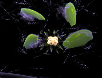 Similar image 22361150