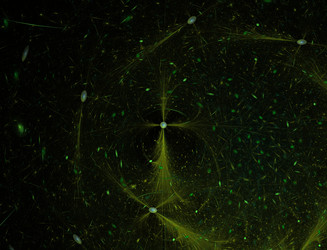 Similar image 22361161