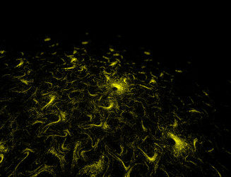 Similar image 22361181