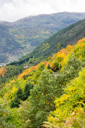 Similar image 22372140