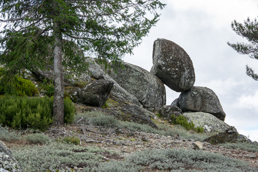 Similar image 22372169