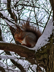 Similar image 22353868