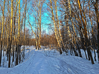 Similar image 22353869