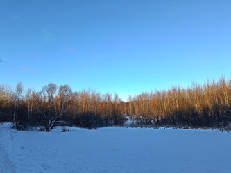 Similar image 22353870