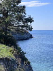 Similar image 22353006