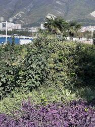 Similar image 22353007