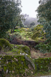 Similar image 22372336