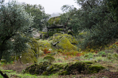 Similar image 22372354