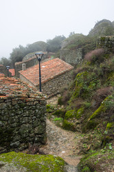 Similar image 22372429