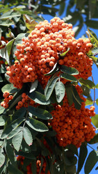 Similar image 22379303