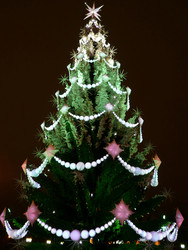 Similar image 22379498