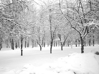 Similar image 22379526