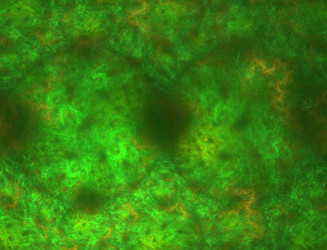 Similar image 22361003