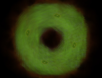 Similar image 22361035