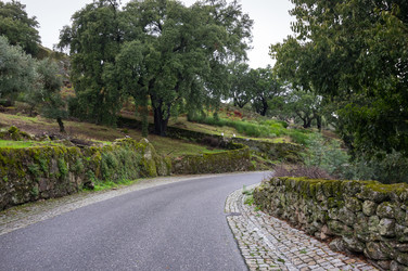 Similar image 22372128