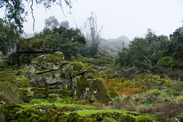 Similar image 22372142