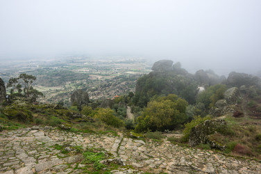 Similar image 22372247