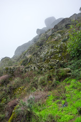 Similar image 22372279