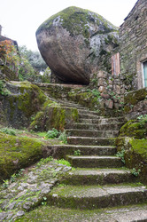 Similar image 22372292