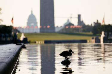 Similar image 22374622