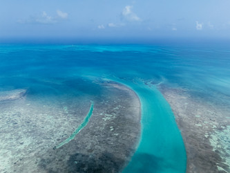 Similar image 22374663