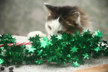 Similar image 22375436