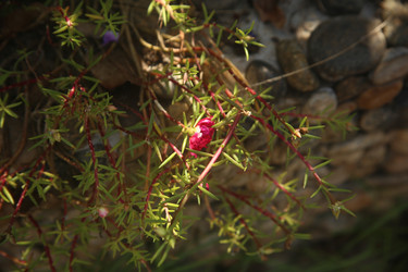 Similar image 22375450