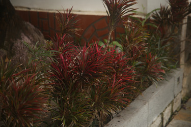 Similar image 22375452