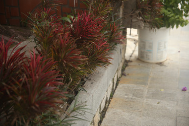 Similar image 22375453