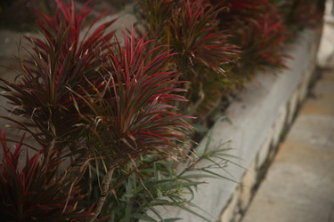 Similar image 22375463