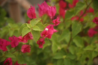 Similar image 22375464