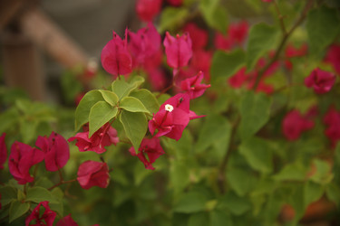 Similar image 22375465