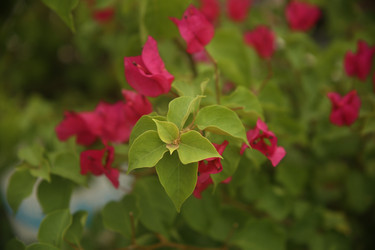 Similar image 22375466