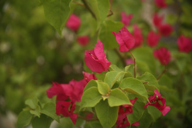 Similar image 22375467