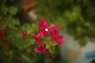 Similar image 22375468