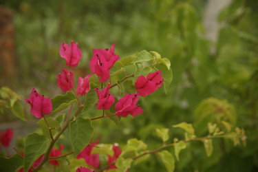 Similar image 22375470