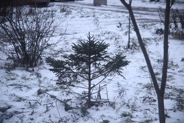 Similar image 22374884