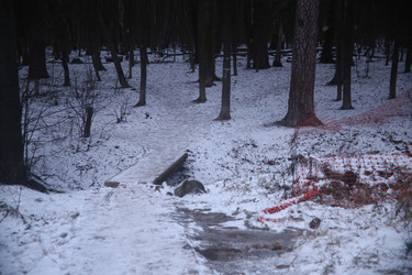 Similar image 22374885