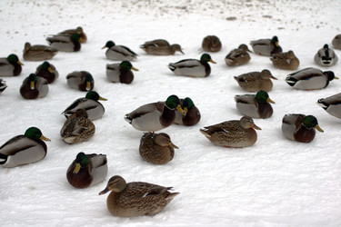 Similar image 22353916