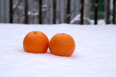 Similar image 22353926