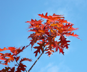 Similar image 22380770