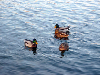 Similar image 22380802