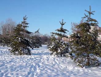 Similar image 22380862