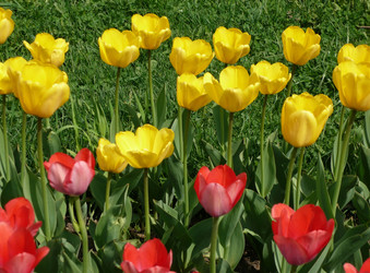 Similar image 22380893