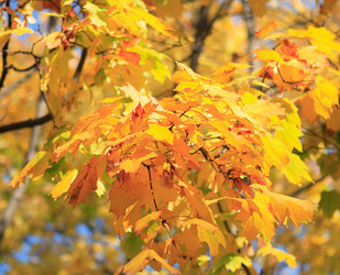 Similar image 22378927