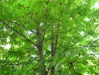 Similar image 22378945