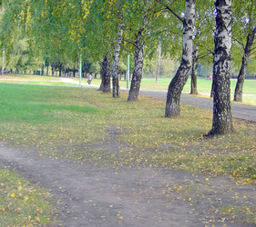 Similar image 22378958