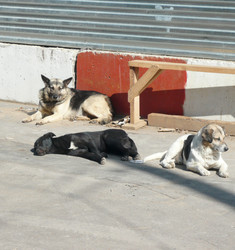 Similar image 22378960