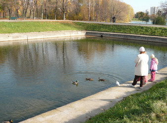 Similar image 22379018