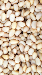 Similar image 22379032